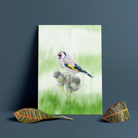 European goldfinch – Giclée Art Print