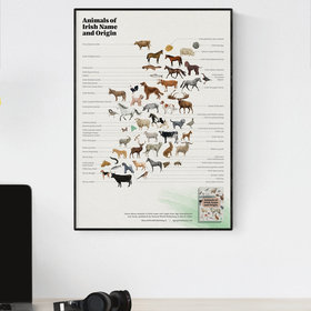 Animals of Irish Name and Origin – A3 poster
