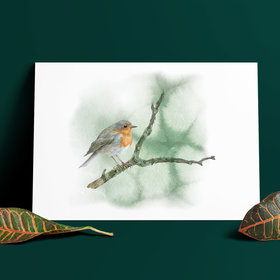 Robin on a branch – A4 Art Print