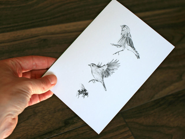 CARD – Wildlife illustration featuring two birds and a bumblebee.