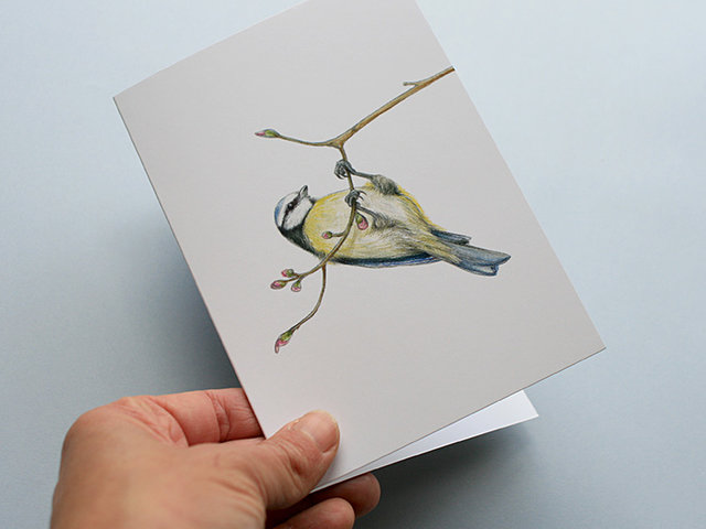 A6 CARD – blue tit hanging from a tree branch.