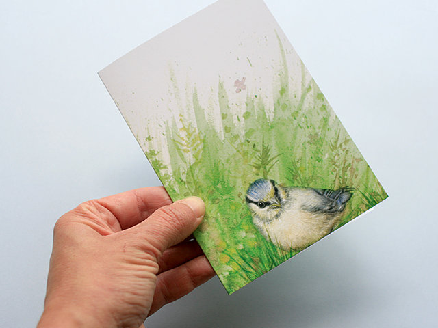 A6 CARD – blue tit chick – front.