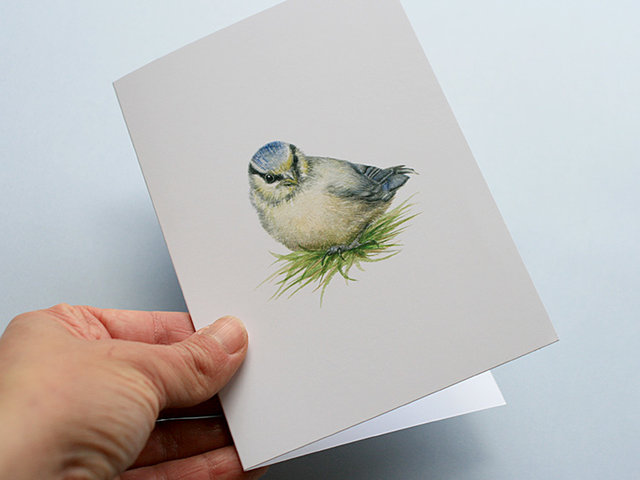 A6 CARD – blue tit chick in the grass_front.