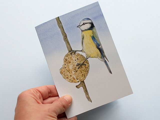 A6 CARD – feeding blue tit – illustration from 'Blue tit chick'