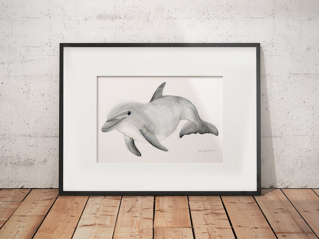 Bottlenose dolphin – original artwork by Aga Grandowicz