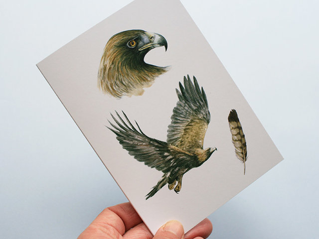 Greeting card, A5 folded to A6, with wildlife illustration of a golden eagle.