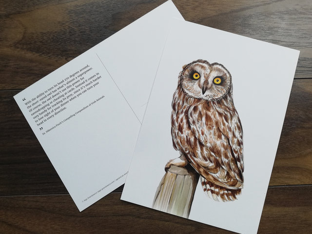CARD A5 – Short-eared owl – Wildlife illustration by Aga Grandowicz