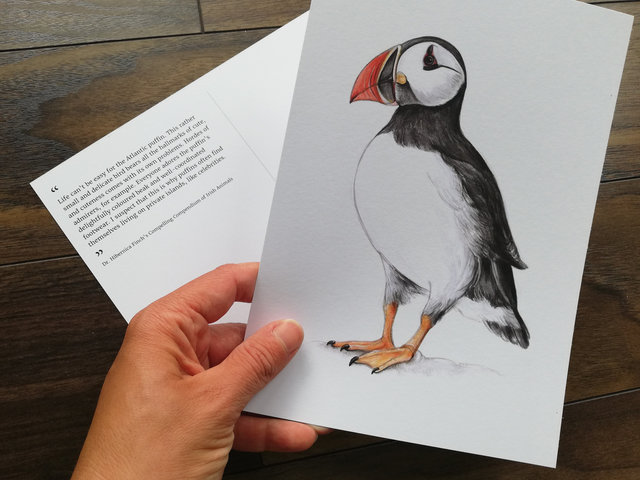 A5 CARD – Atlantic Puffin – Wildlife illustration by Aga Grandowicz