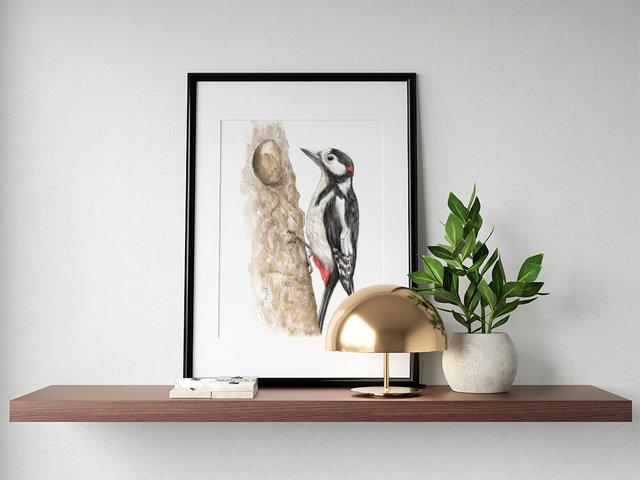Great spotted woodpecker – original artwork by Aga Grandowicz