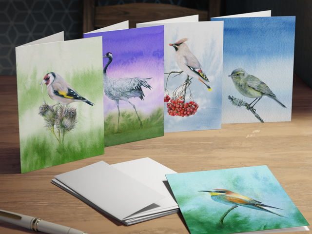Multi-Design Greeting Cards (5-Pack) featuring watercolour paintings of birds