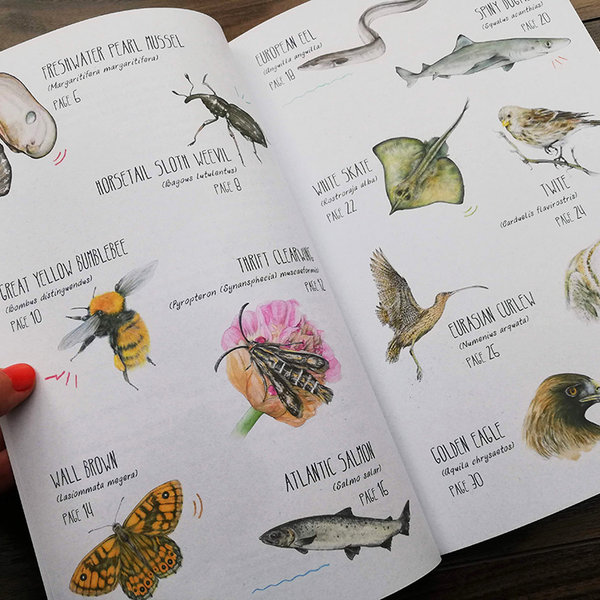 Remarkable Creatures: a guide to some of Ireland’s disappearing animals, book by Aga Grandowicz_index