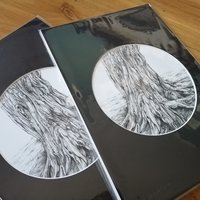 Trees of Marlay Park #1, A4 fine art print from a drawing