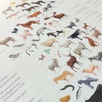 Animals of Irish Name and Origin – A3 poster