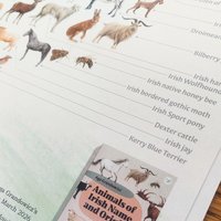 Animals of Irish Name and Origin – A3 poster